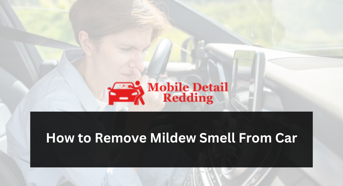 How to Remove Mildew Smell From Car