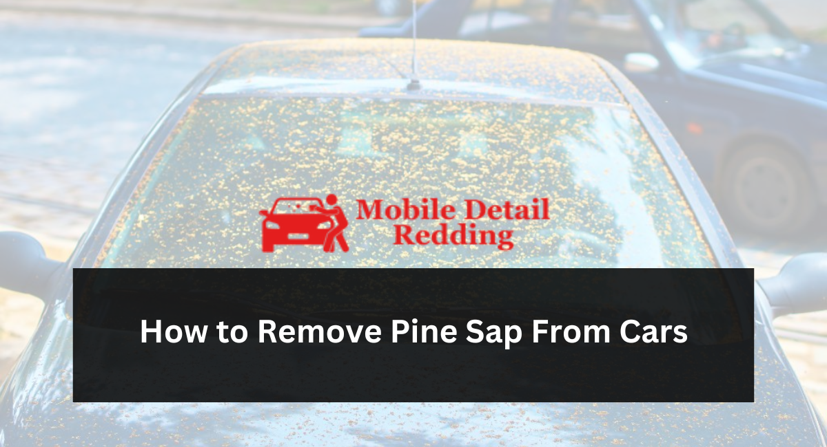 How to Remove Pine Sap From Cars